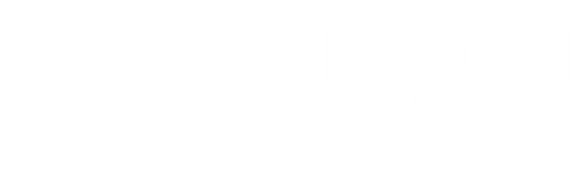 Intellectual Point logo