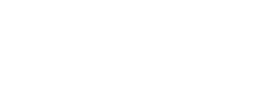 Intellectual Point logo